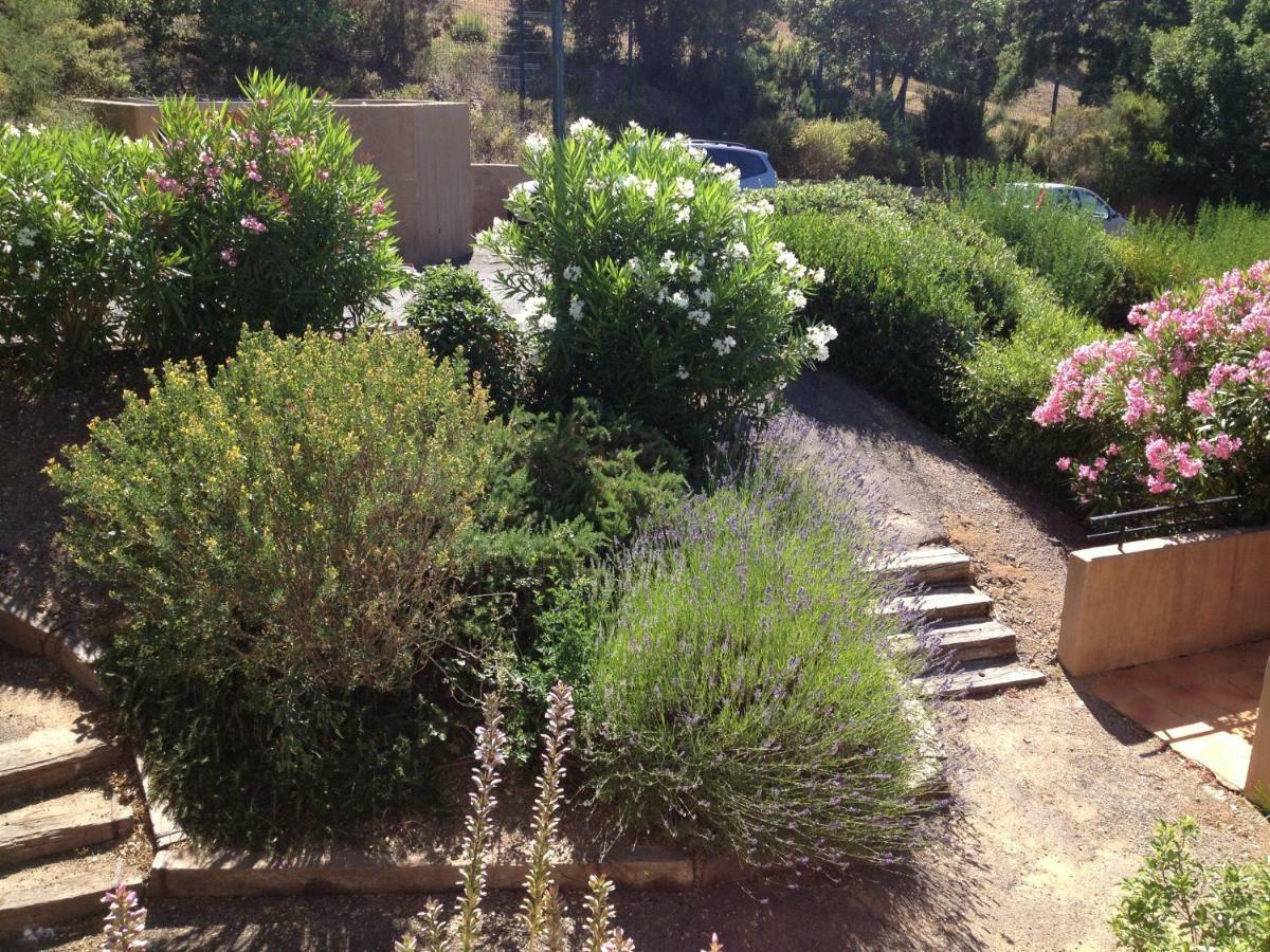 דירות גרימו Les Restanques, Bastides Vue Golfe Saint Tropez מראה חיצוני תמונה